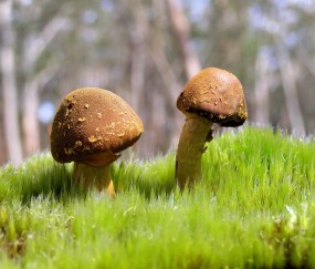 怀孕50天左右hcg值多少正常（孕50天hcg值正常范围）